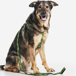 NDSU Bison Step-In Dog Harness - One Herd