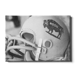 NDSU Bison Vintage 1960's Football Helmet