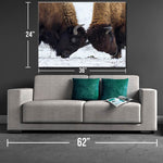 Bison Battle Canvas Print - One Herd