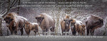 The Herd Song Canvas Print - One Herd