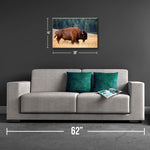 Lone Bison Roaming Canvas Print - One Herd