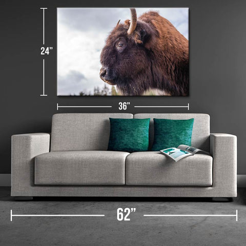 Bison Strength Canvas Print - One Herd